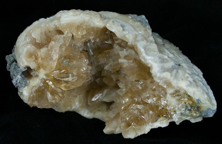 Calcite Crystal Filled Clam Fossil - #6046